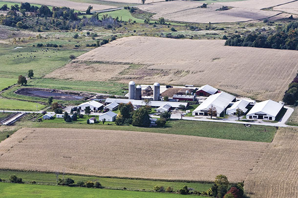 Woods Hill Farms