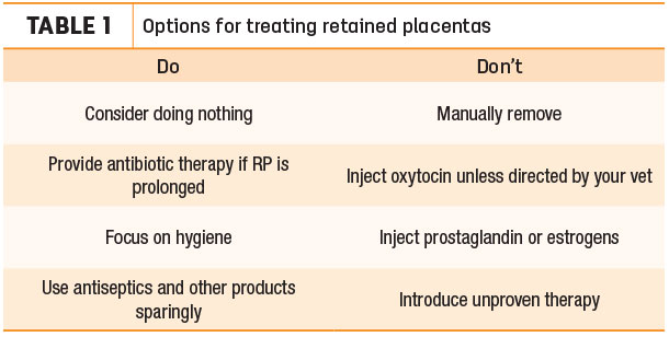 Options for treating retained placentas