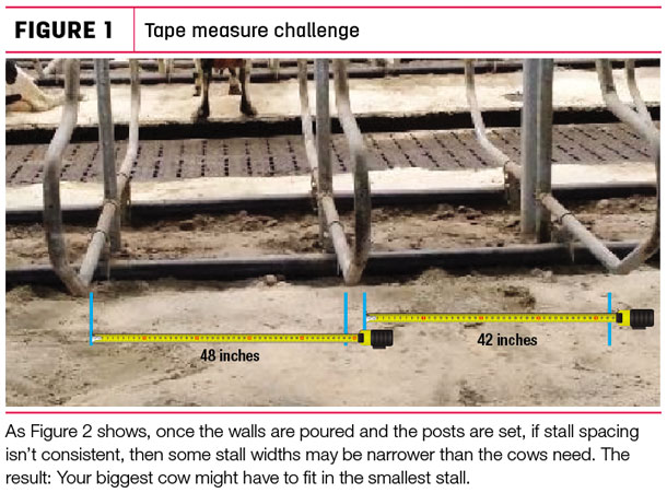 Tape measure challenge