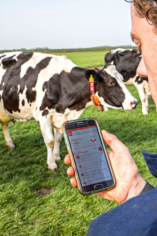 using Ida phone app on dairy farm
