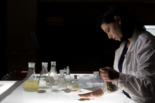 manure fabric lab
