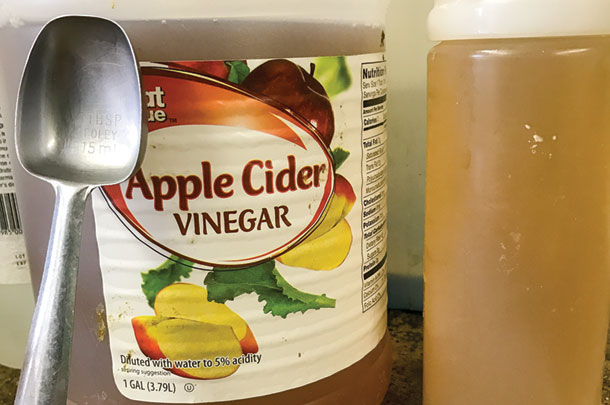 Apple cider vinegar for calf scours