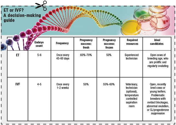 ET or IVF? A decision-making guide