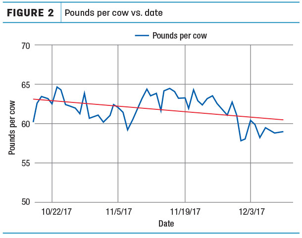 pounds per cow on new crop corn silage