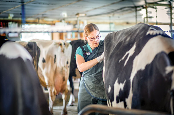 Jessica McArt says female veterinarians may need to do certain jobs a different way, but they can certainly still handle the tasks.