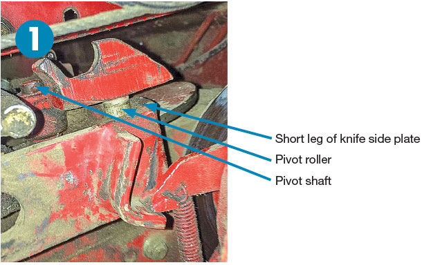 Case No. 1