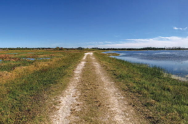 Man-made roads crated when the wetlands were built