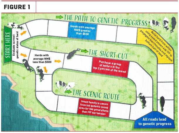 The path to genetic progress