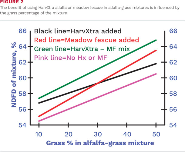 The benefit of using HarvXtra alfalfa or meadow fescue in alfalfa-grass mixtures