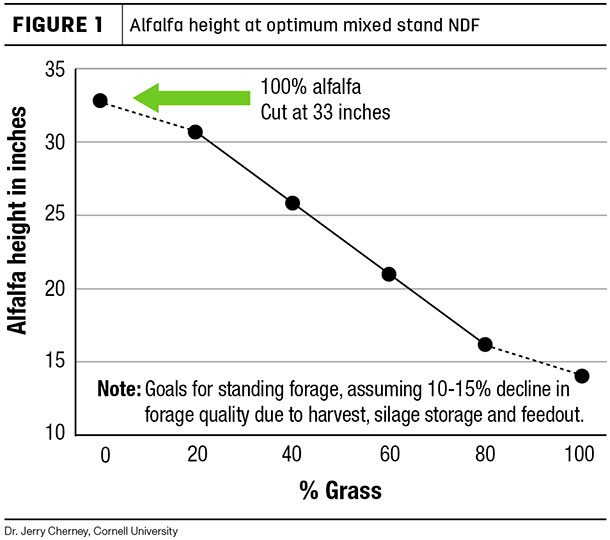 Alfalfa height at optimum mixed stand NDF