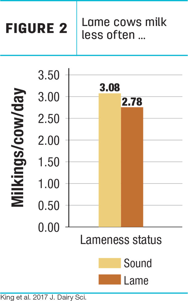 Lame cows milk less often