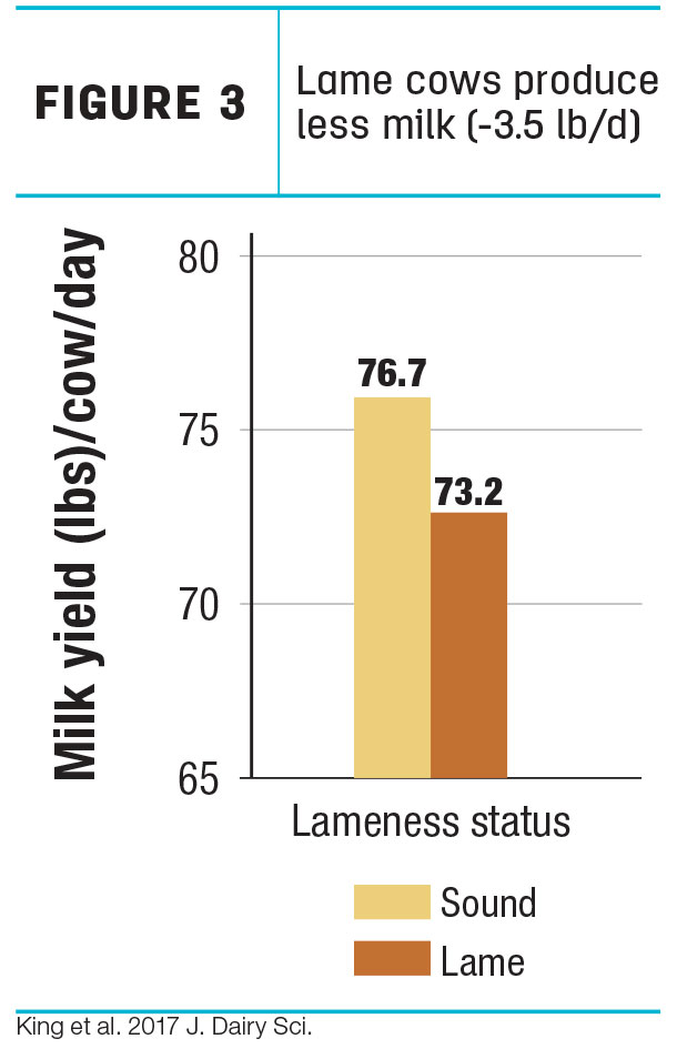 Lame cows produce less milk