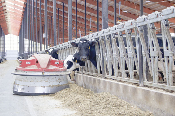 Automatic feed pusher is programmed with its own playlist that prompts cows to come to the bunk