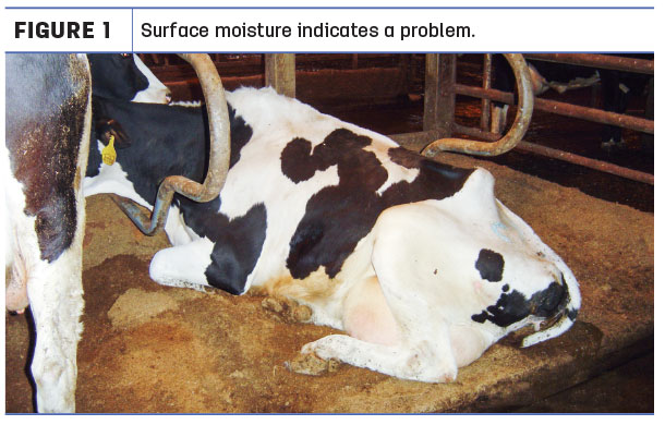 Surface moisture indicates a problem