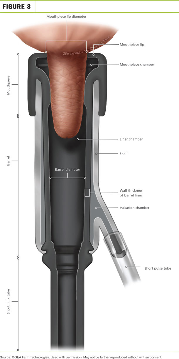 Mouthpiece lip diameter