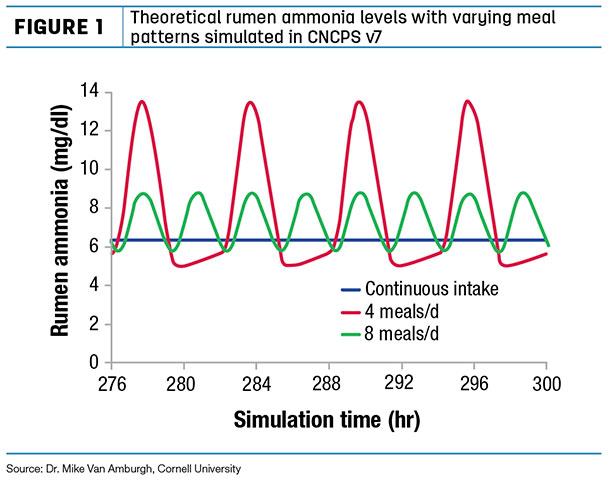 rumen ammonia