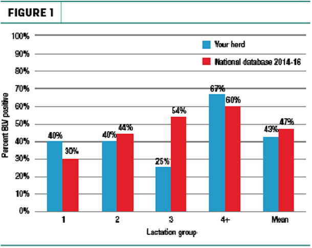 Percent BLV positive