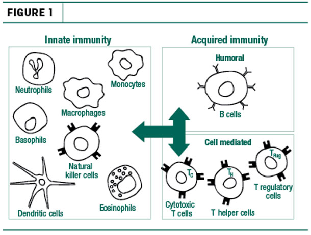 Innate immunity and Acquited immunity