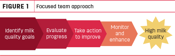 focused team approach