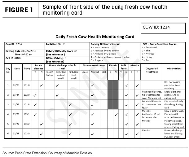 Fresh cow health card Figure 1
