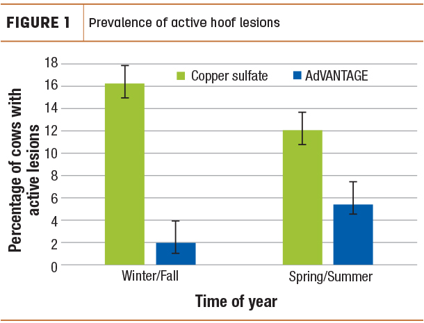 Prevalence of active hoof lesions