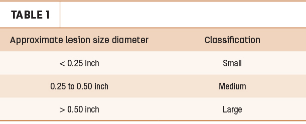 Approximate lesion size diameter