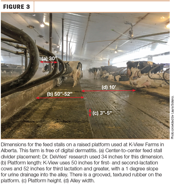 Dimensions for the feed stalls on a raised platform used at K-View Farms