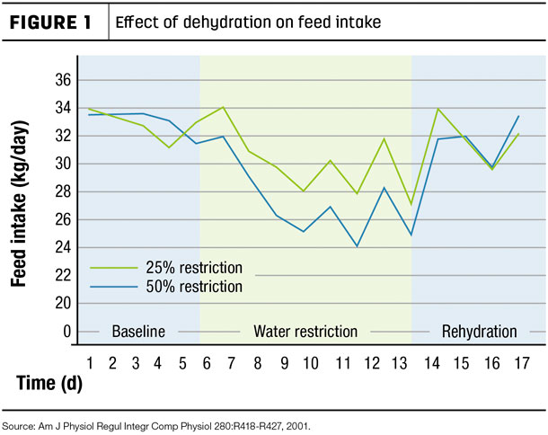 effect of dehydration on feed intake