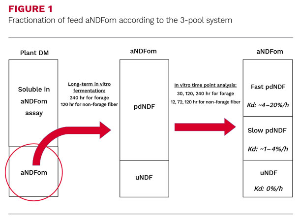 Fractionatoin of feed aNDFom according to the 3-pool system