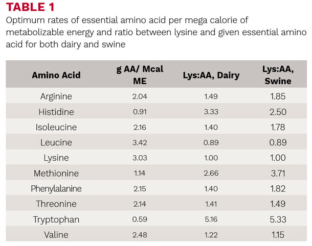 Optimum rates of exxential amino acid per mega calorie of metabolizable energy