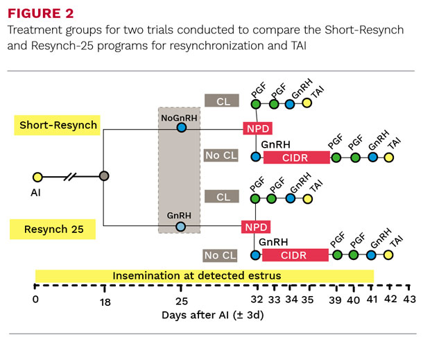 Treatment groups for two trials conducted to compare the Short-Resynch and Resynch-25 programs
