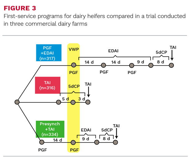 First-service programs for dairy heifers compared in a trial