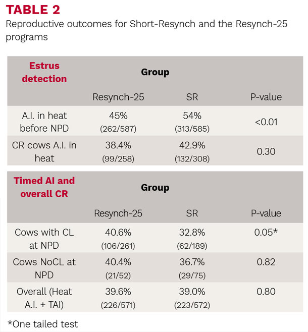 Reproductive outcomes for Shrot-Resynch and the Resynch-25 programs