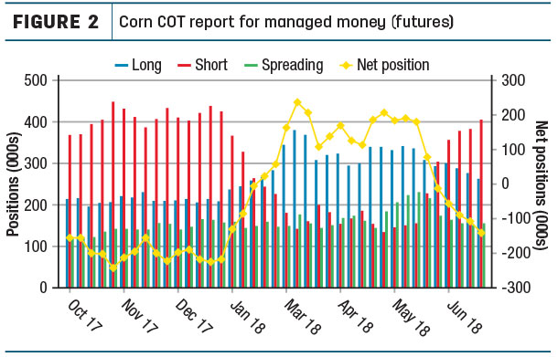 corn COT report for managed money 
