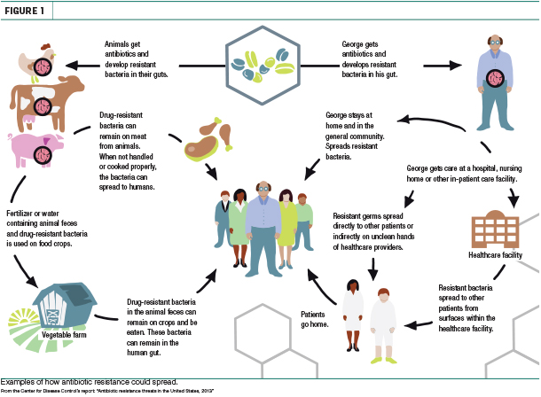 Examples of how anitbiotic resistance could spread