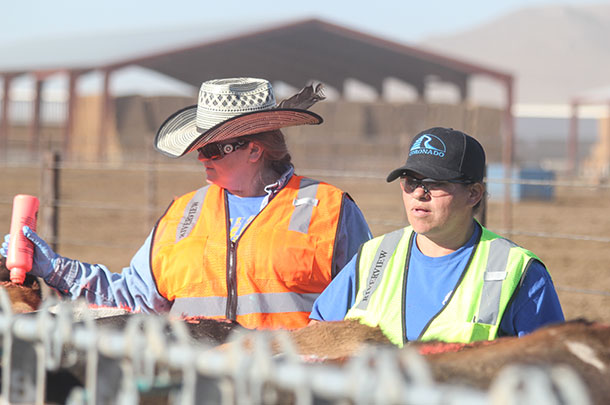 people working