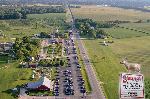 Young's Jersey Dairy, Inc