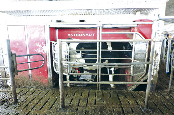 The Lely Astronaut A2 installed a t Langeweer Dairy in 2001, hit its 1 millionth mailking in Septemer 2017