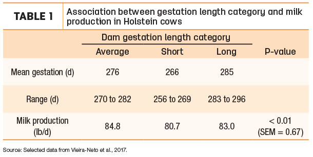 Association between gestation lenfth category and milk production