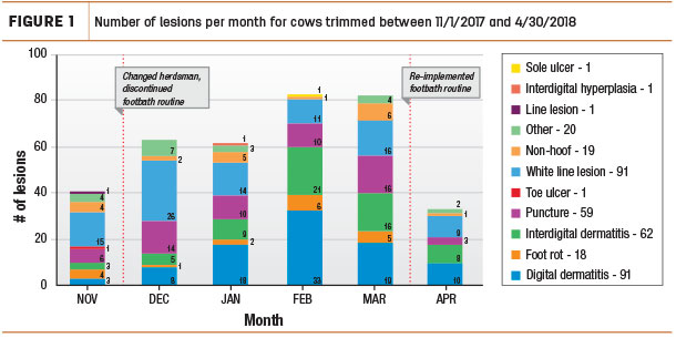 Number of lesions per month for cows trimmed