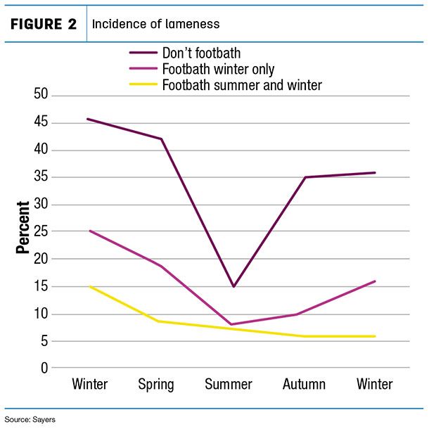 Incidence of lameness