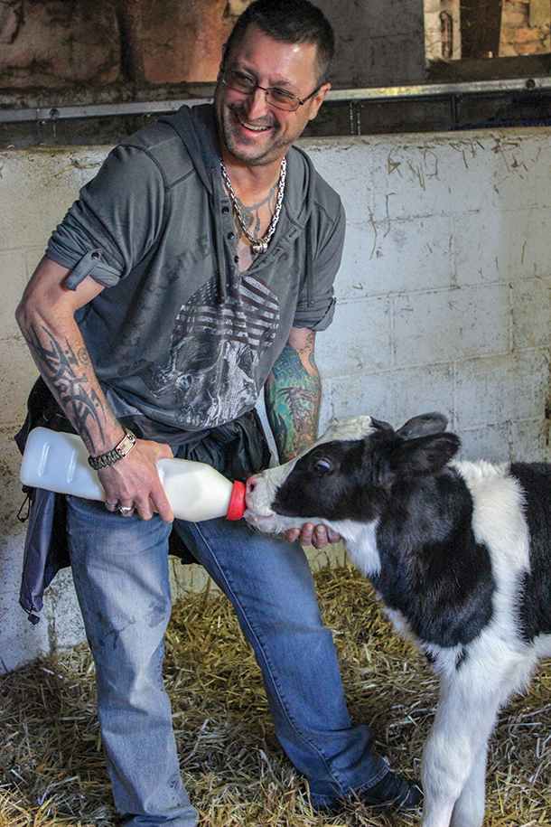 Jason Knoll bottle feeding a newbor calf