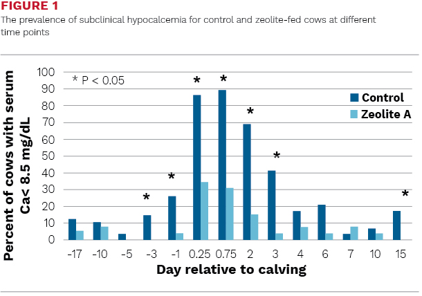 The prevalence of subclinical hypocalcemia for control and zeolite-fed cows at different time points