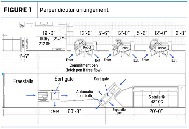 Perpendicular milk robot arrangement