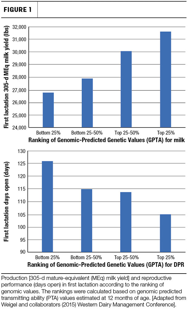 Replacement heifer genomics figure 1