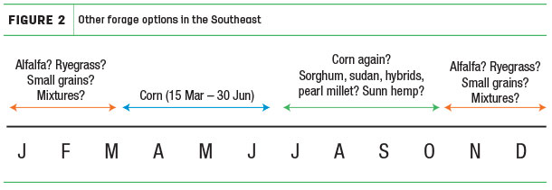 Other forage options in the Southeast