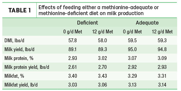 Effects of feeding either a methionine-adequate or methionine-deficient diet