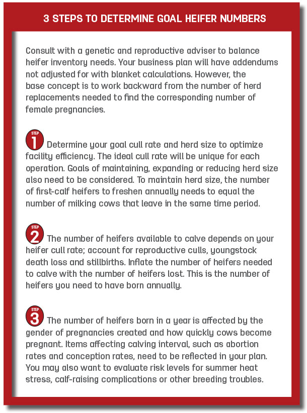 3 Steps to determine goal heifer numbers