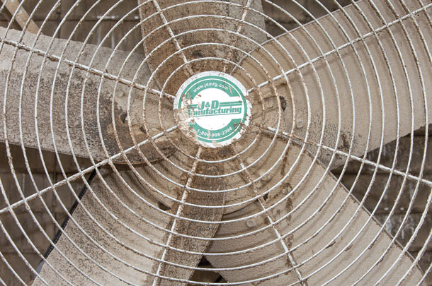 Fans before cleaning