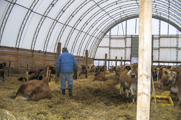 Another example of a simple bedded pack barn